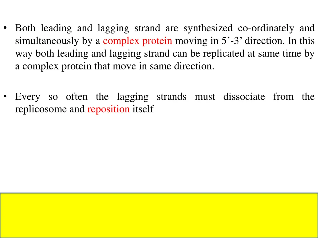 both leading and lagging strand are synthesized