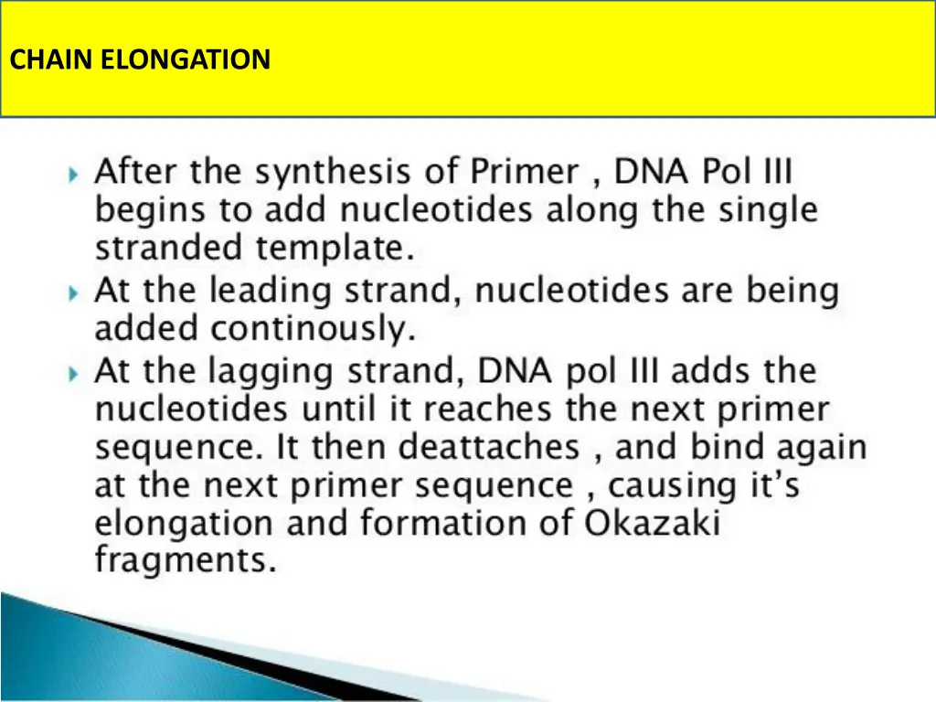 chain elongation