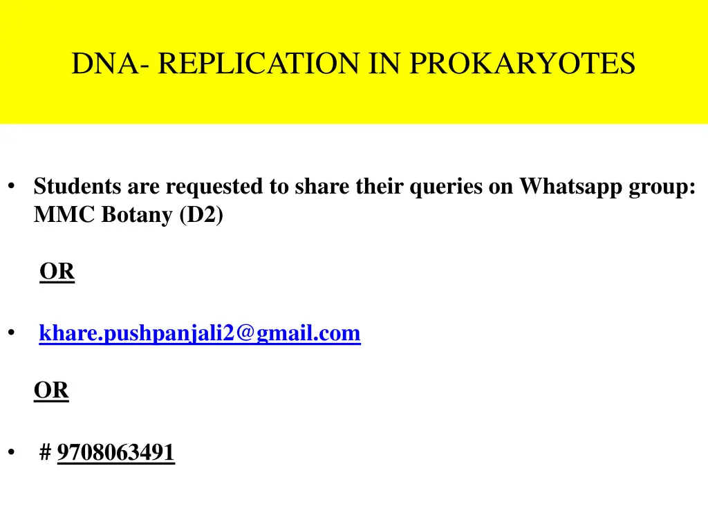 dna replication in prokaryotes 2