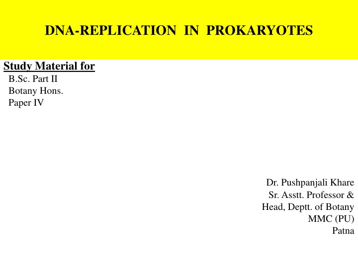 dna replication in prokaryotes