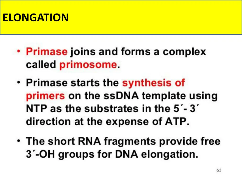 elongation