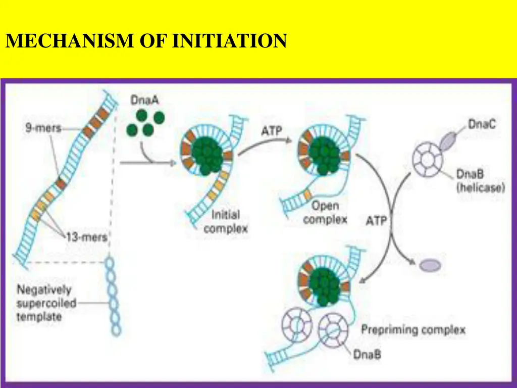 mechanism of initiation