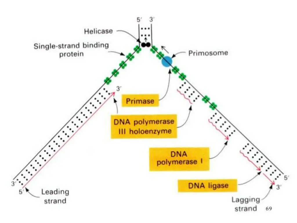 slide18