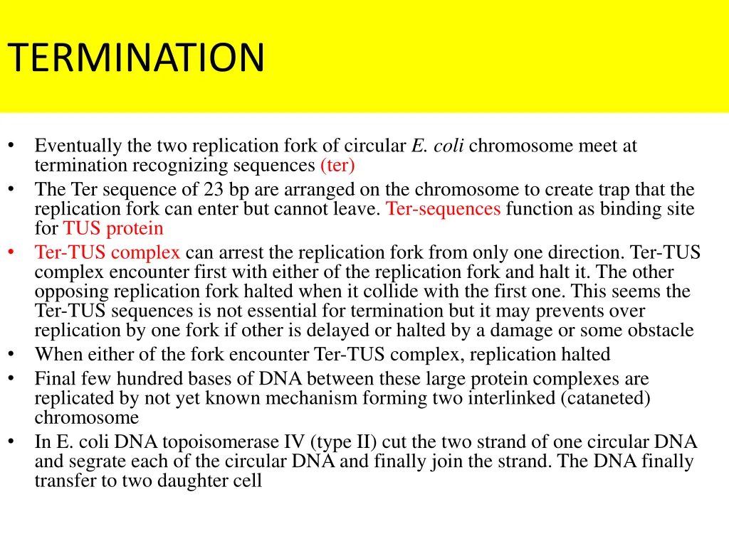 termination 1