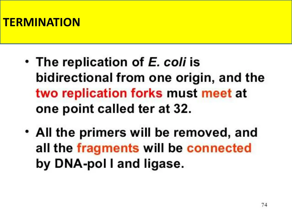 termination