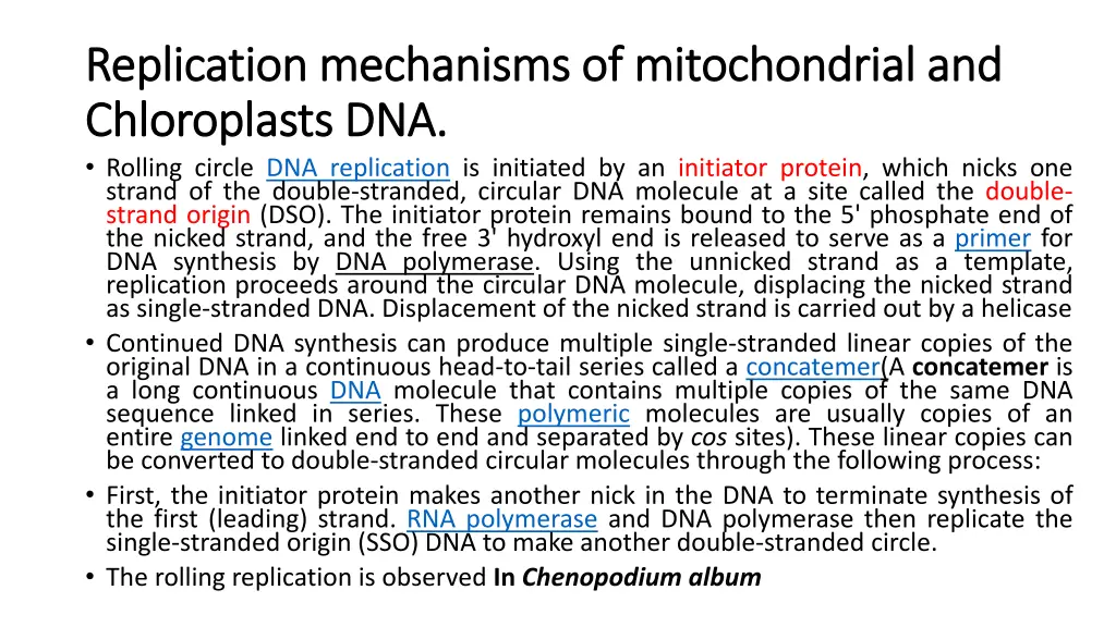 replication mechanisms of mitochondrial