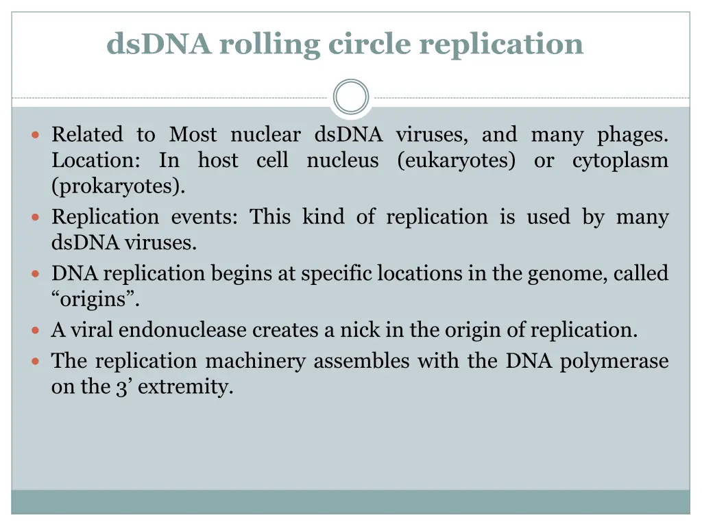 dsdna rolling circle replication