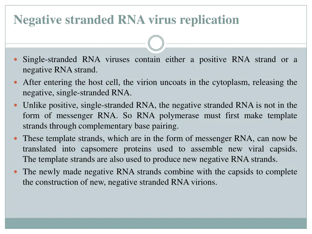 negative stranded rnavirus replication