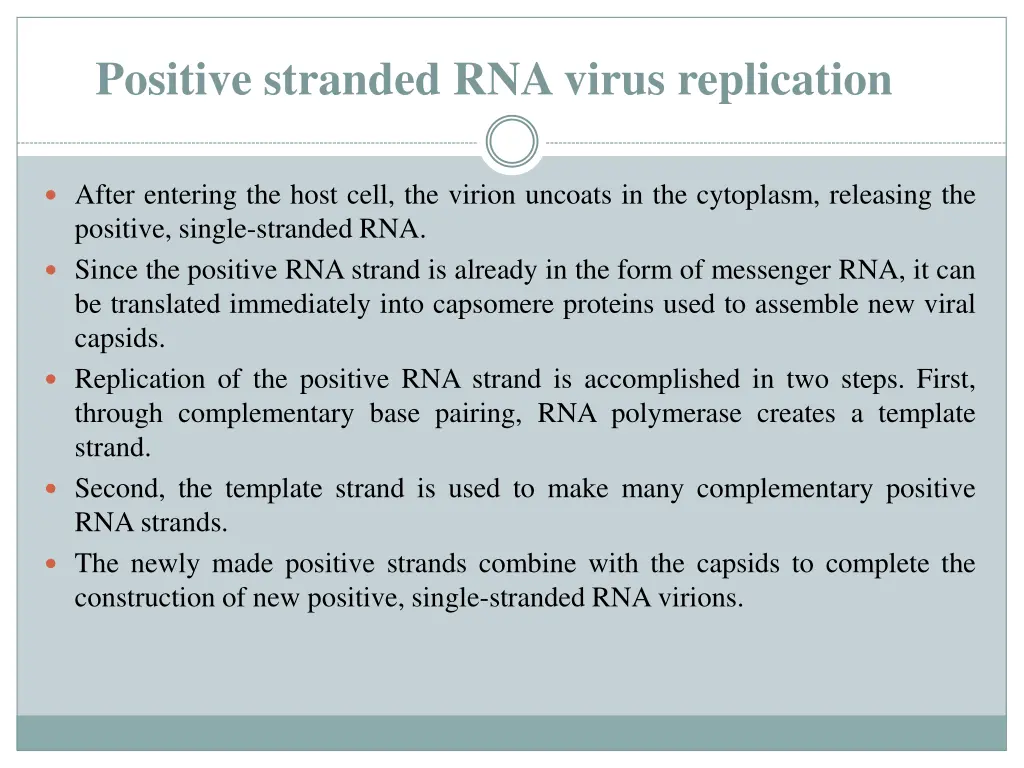 positive stranded rnavirus replication