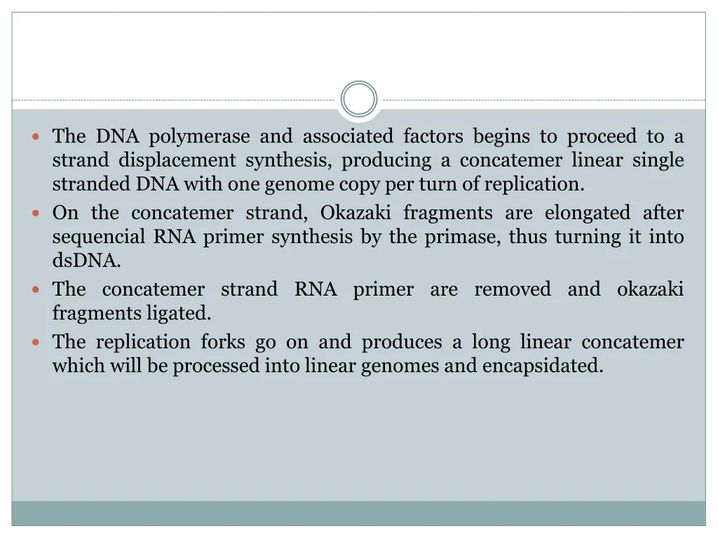 the dna polymerase and associated factors begins