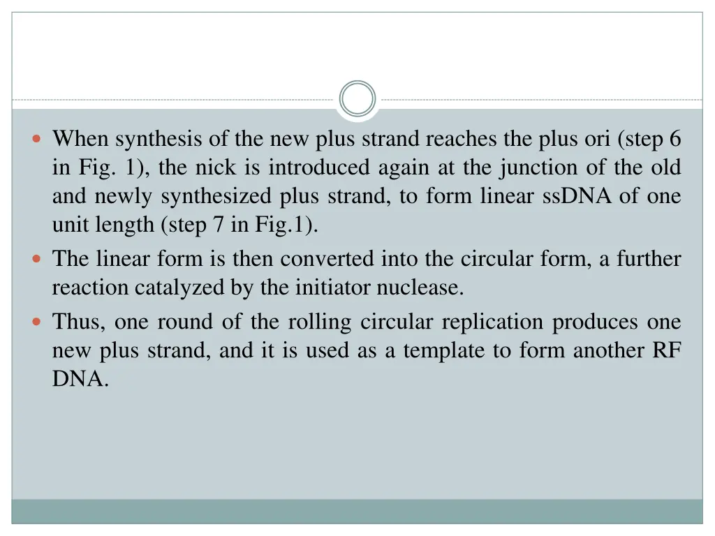 when synthesis of the new plus strand reaches