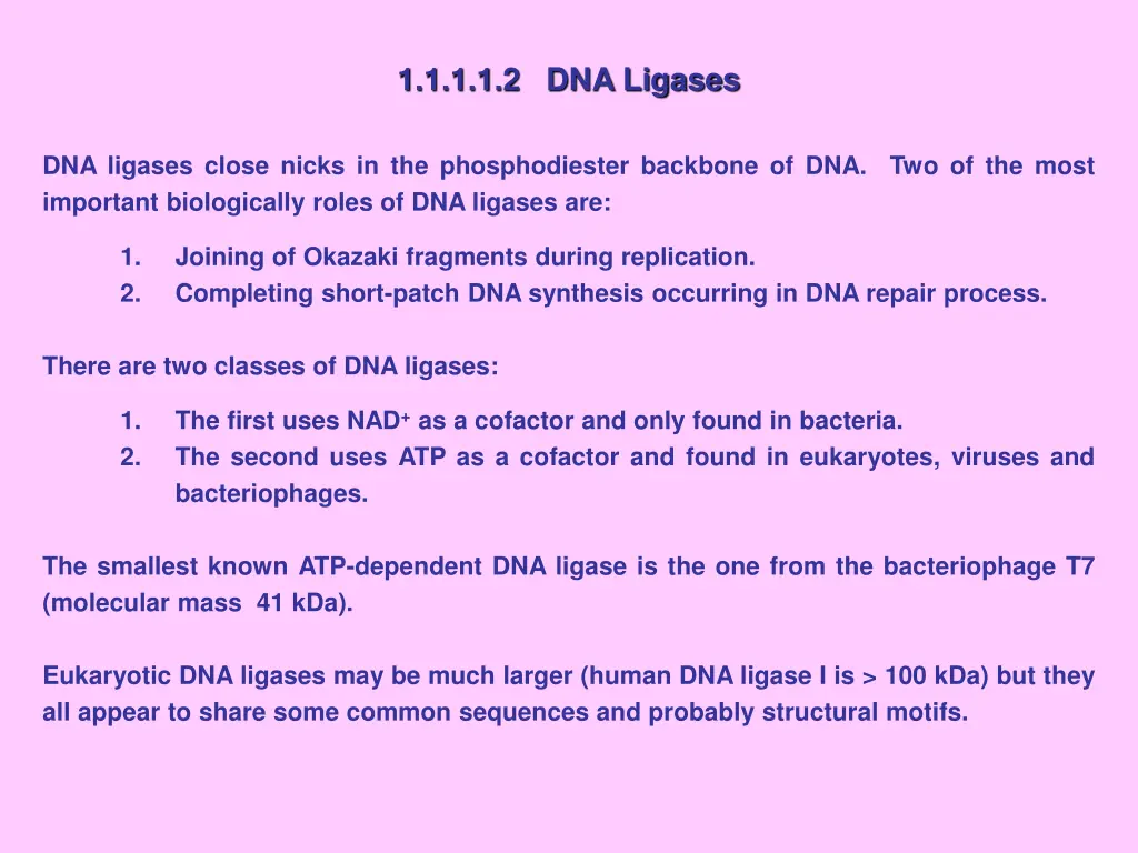 1 1 1 1 2 dna ligases