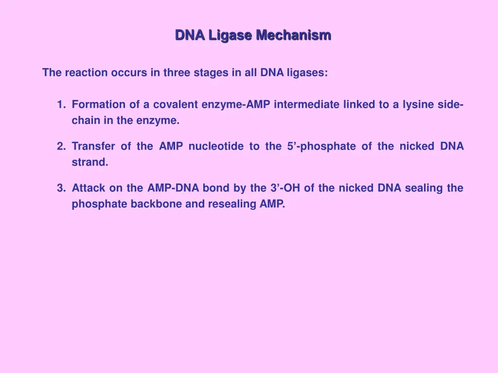 dna ligase mechanism