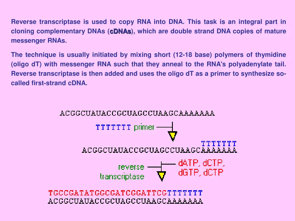 reverse transcriptase is used to copy rna into