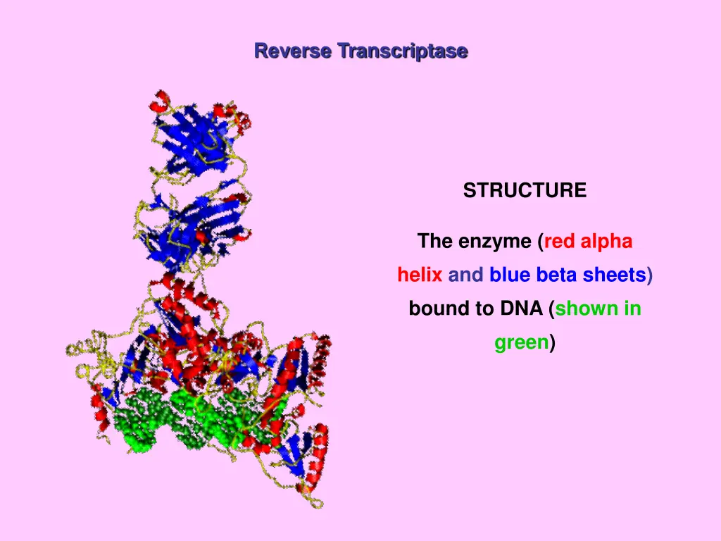 reverse transcriptase