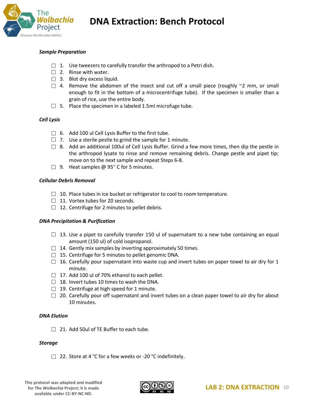 dna extraction bench protocol