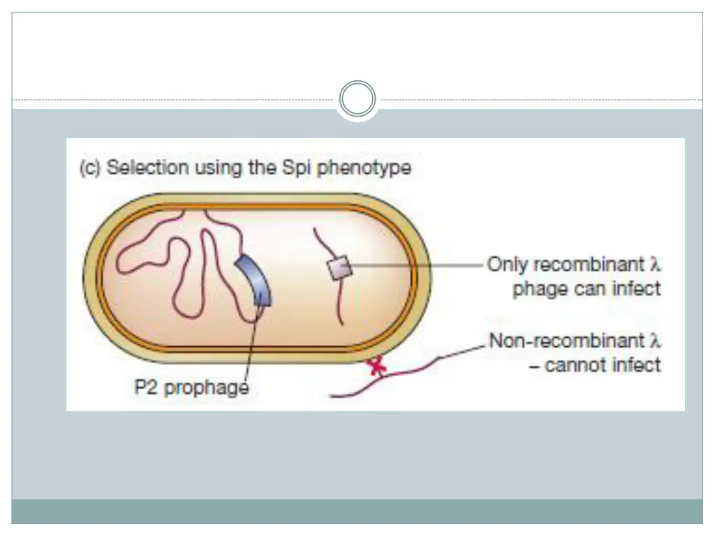 slide11