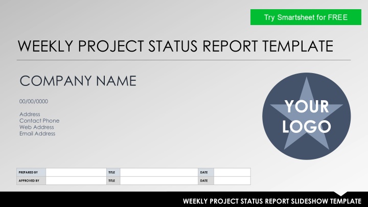 weekly project status report template