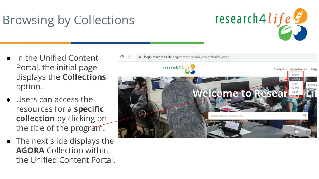 browsing by collections