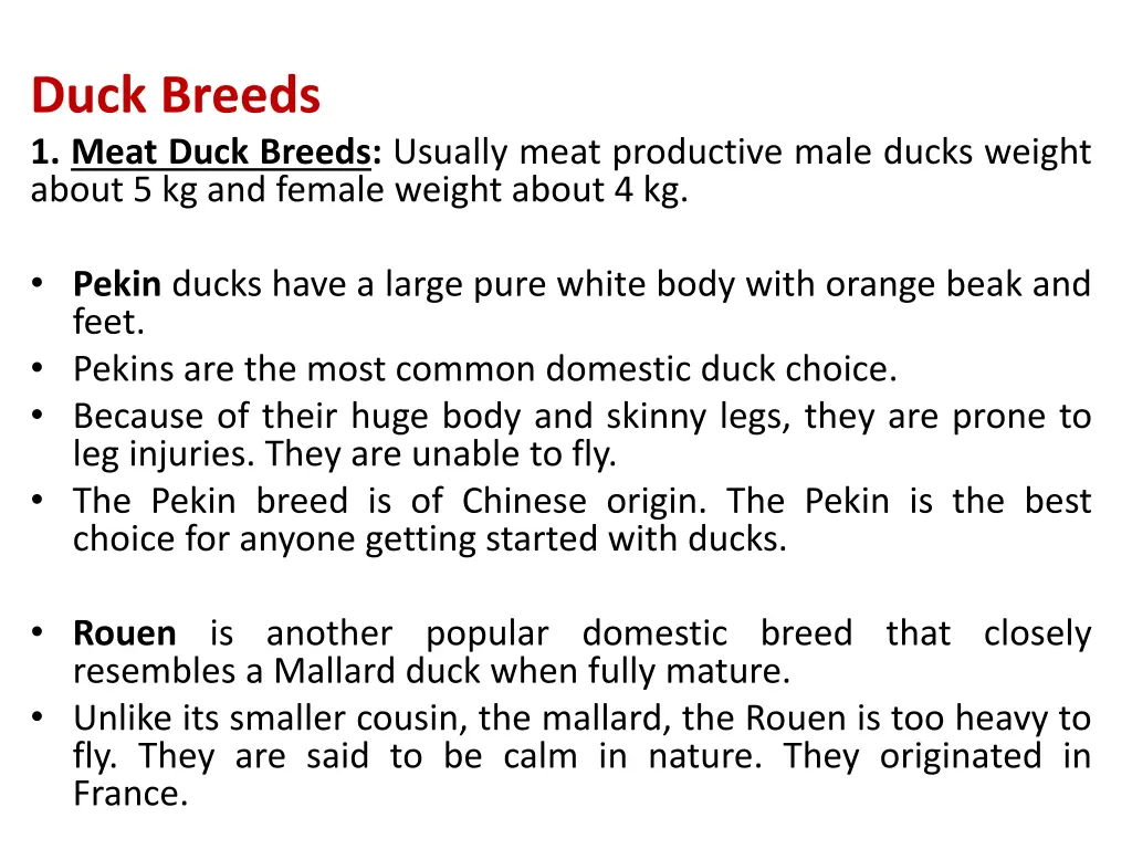 duck breeds 1 meat duck breeds usually meat