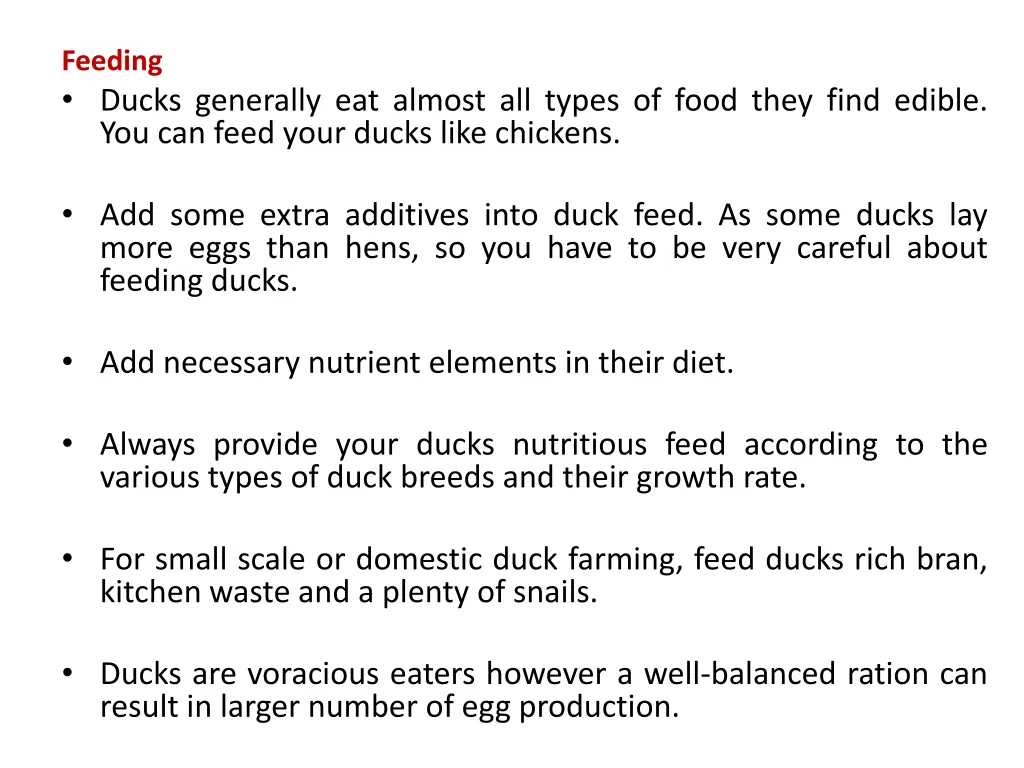 feeding ducks generally eat almost all types