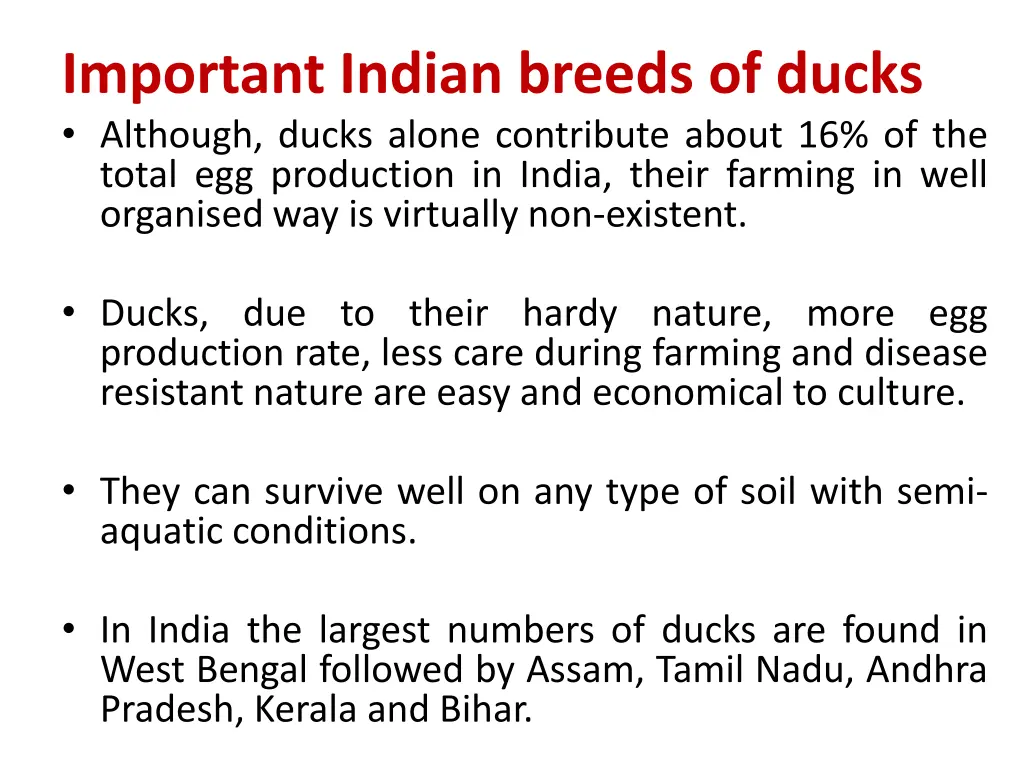 important indian breeds of ducks although ducks