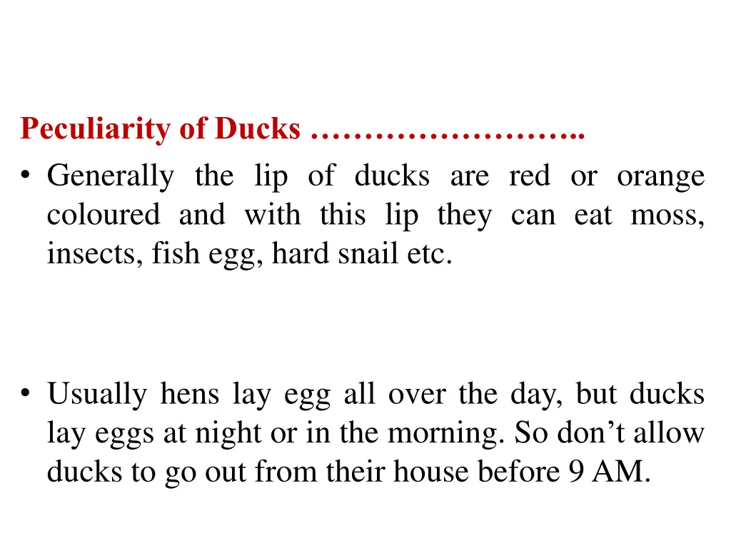 peculiarity of ducks generally the lip of ducks