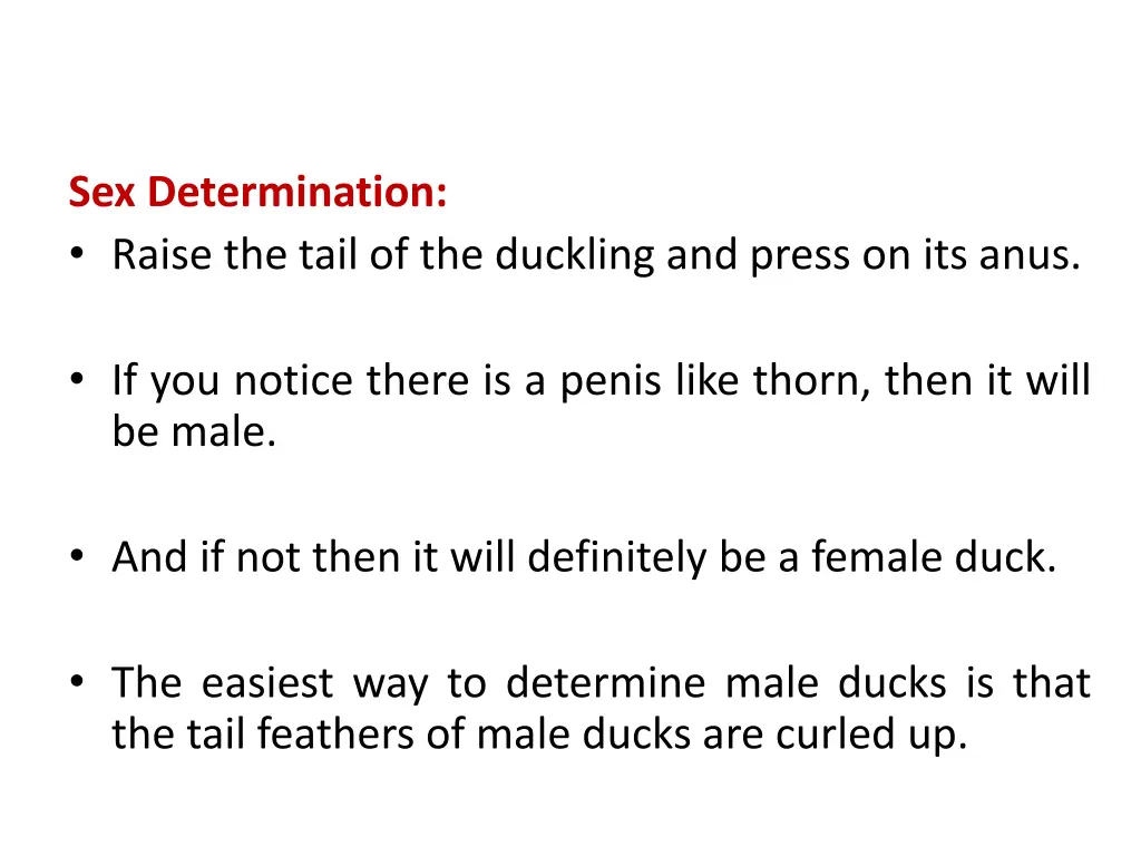 sex determination raise the tail of the duckling