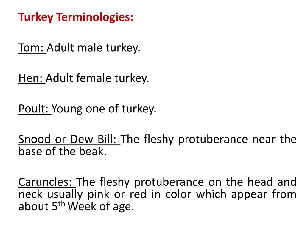 turkey terminologies