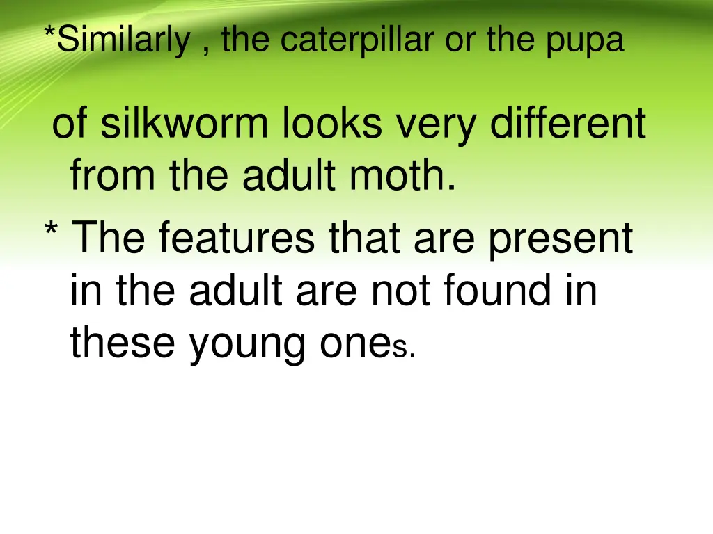 similarly the caterpillar or the pupa