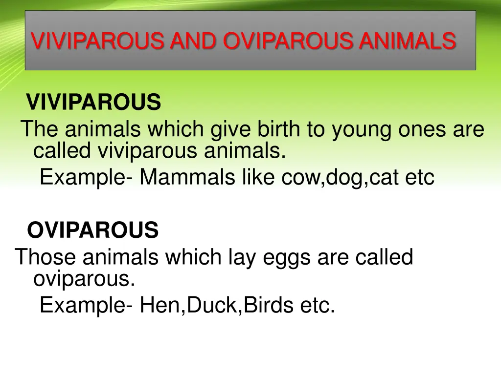 viviparous and oviparous animals