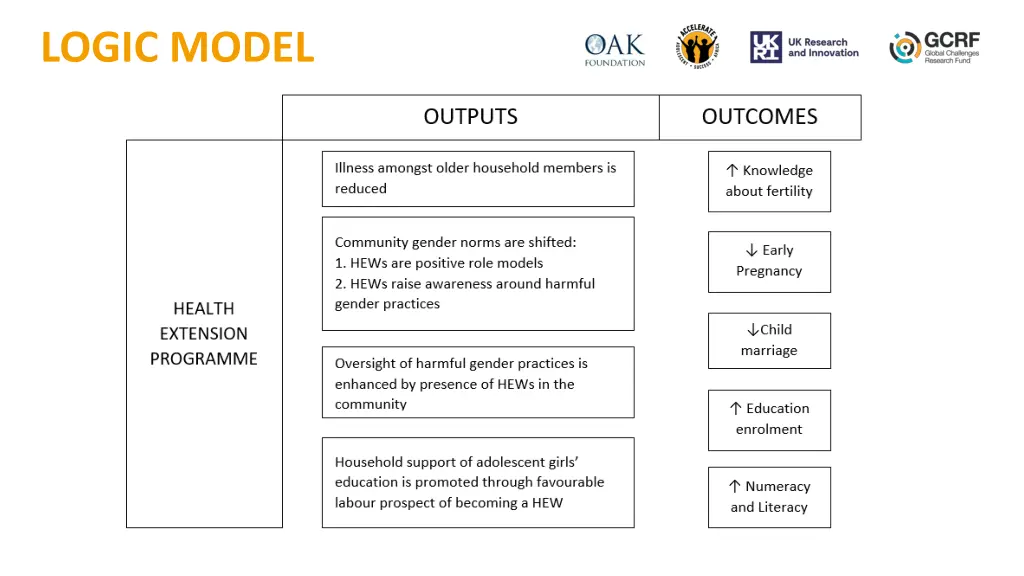 logic model