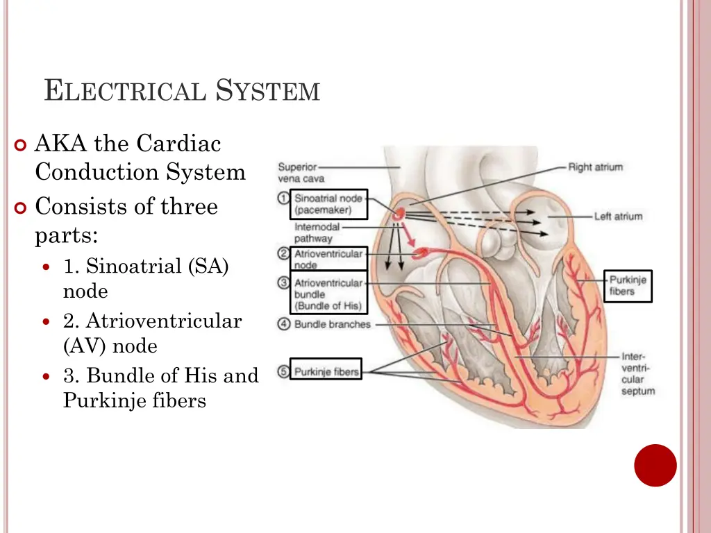 e lectrical s ystem