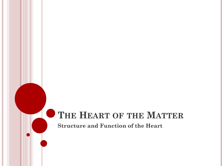 t he h eart of the m atter structure and function