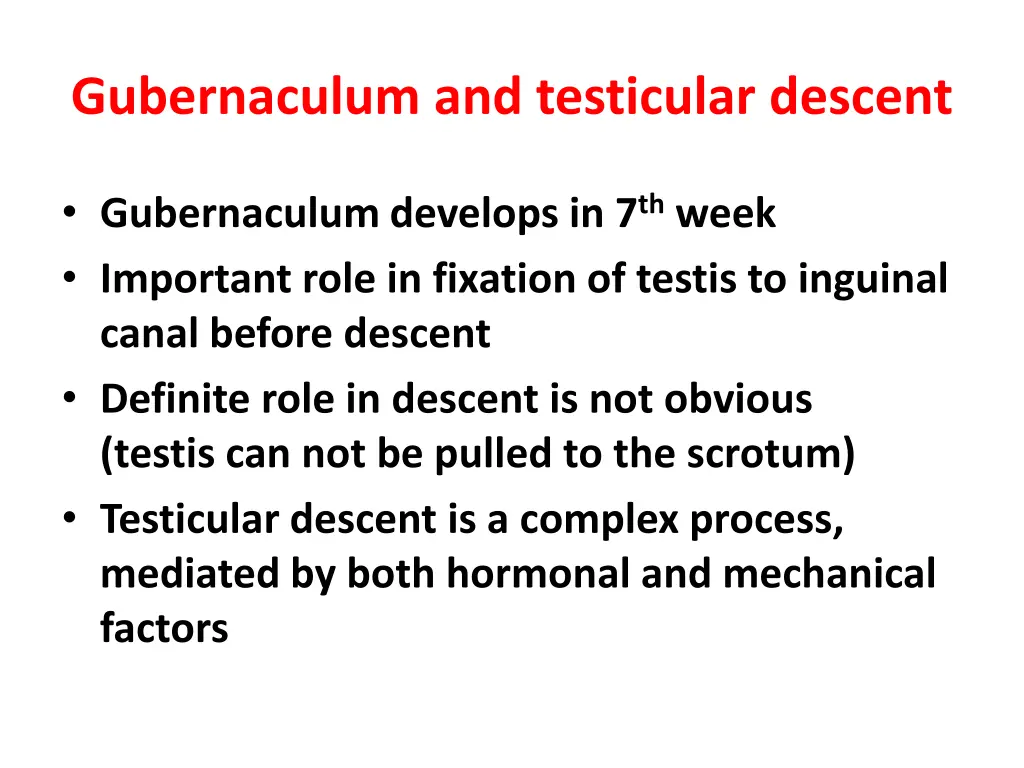 gubernaculum and testicular descent