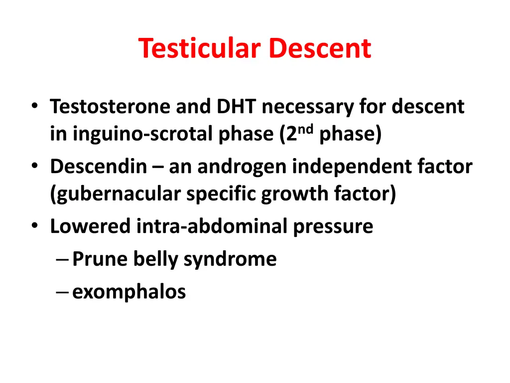 testicular descent