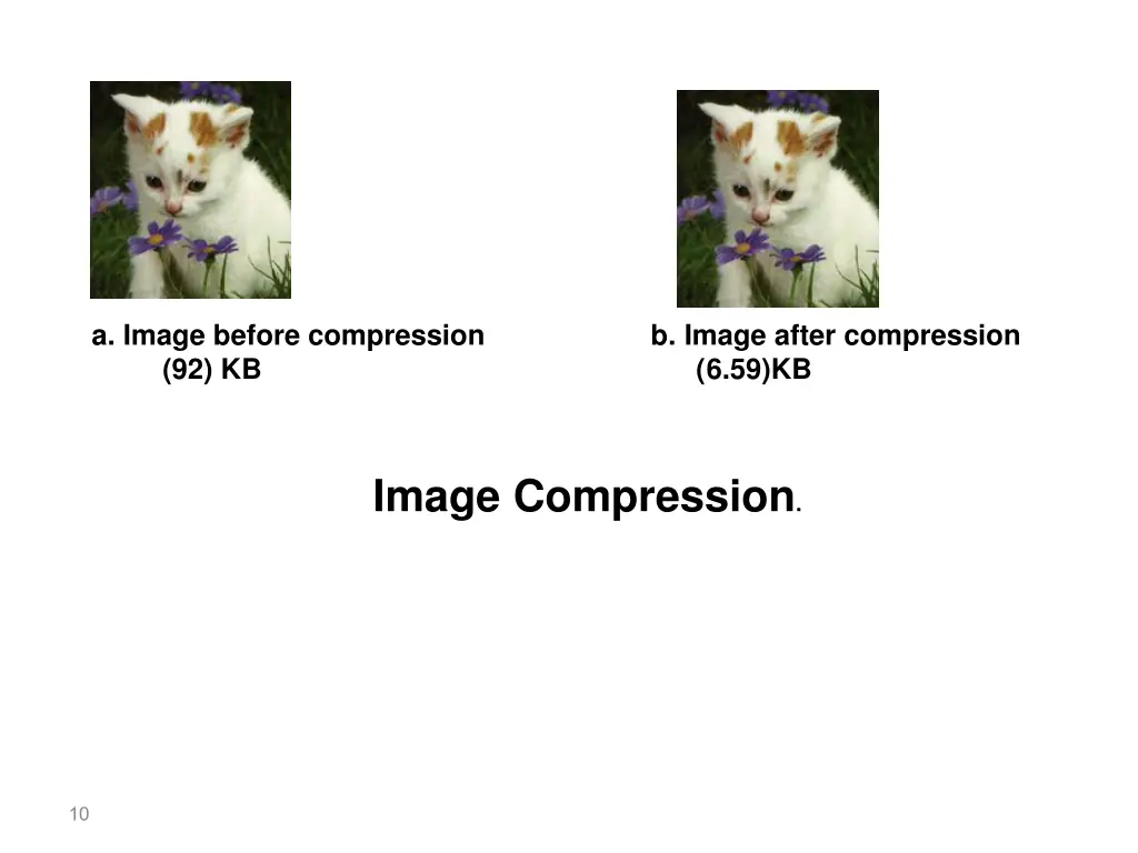 a image before compression b image after