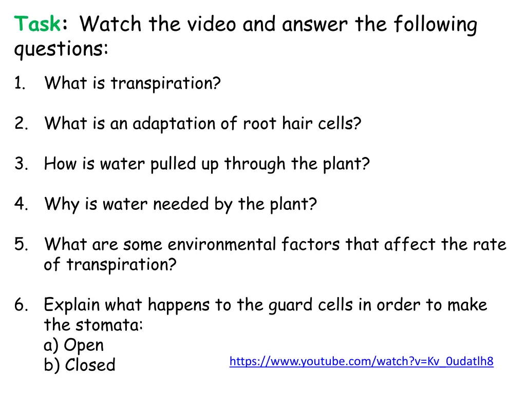 task watch the video and answer the following