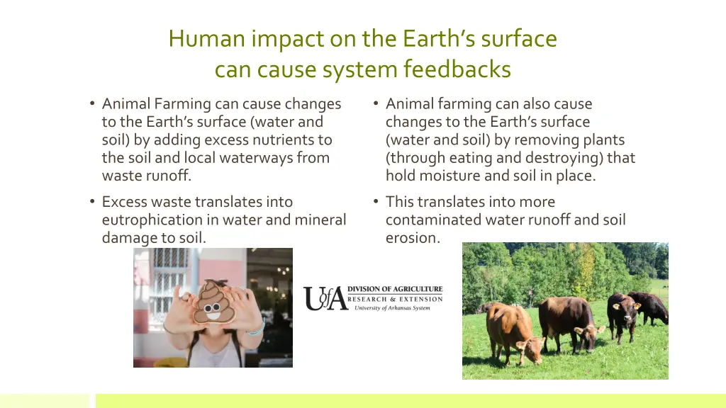 human impact on the earth s surface can cause