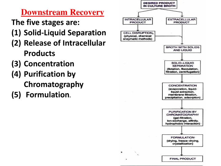 major steps in downstream processing