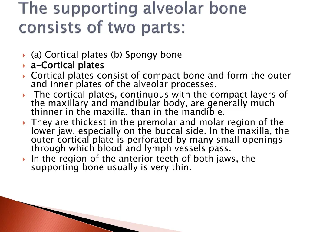 a cortical plates b spongy bone a a cortical