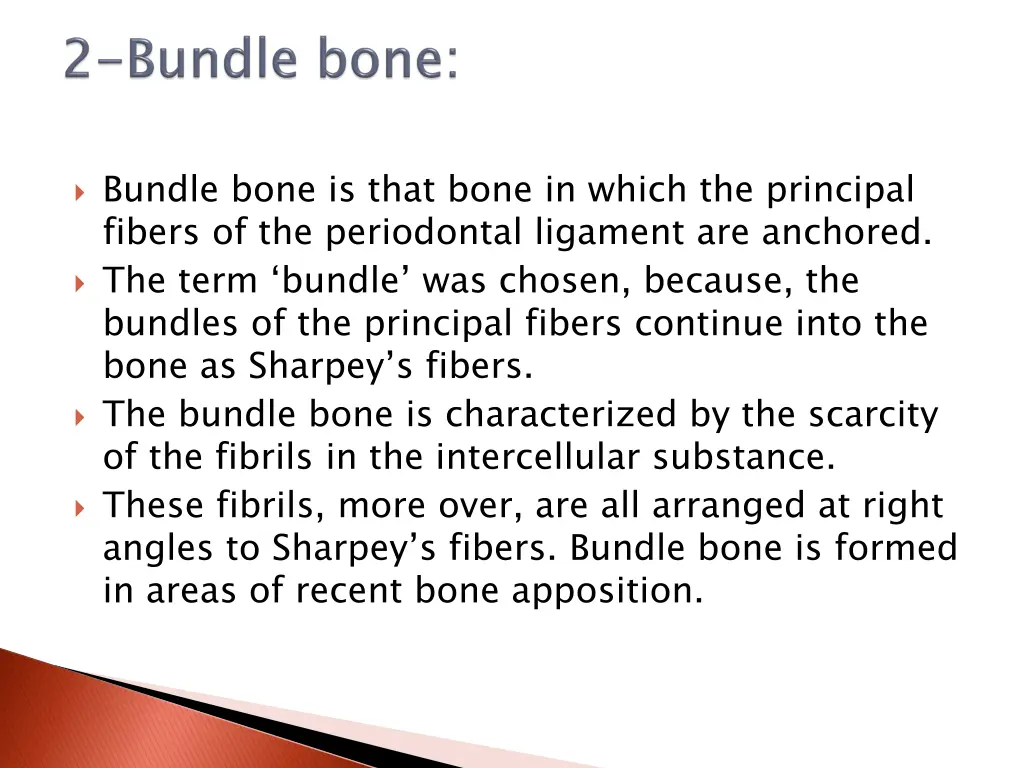 bundle bone is that bone in which the principal