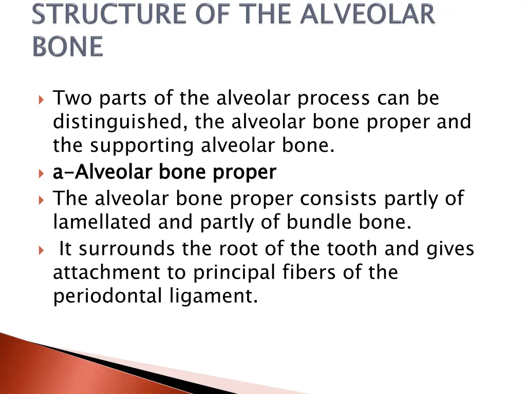 two parts of the alveolar process