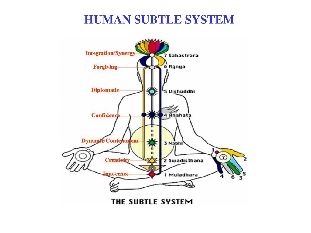 human subtle system 1