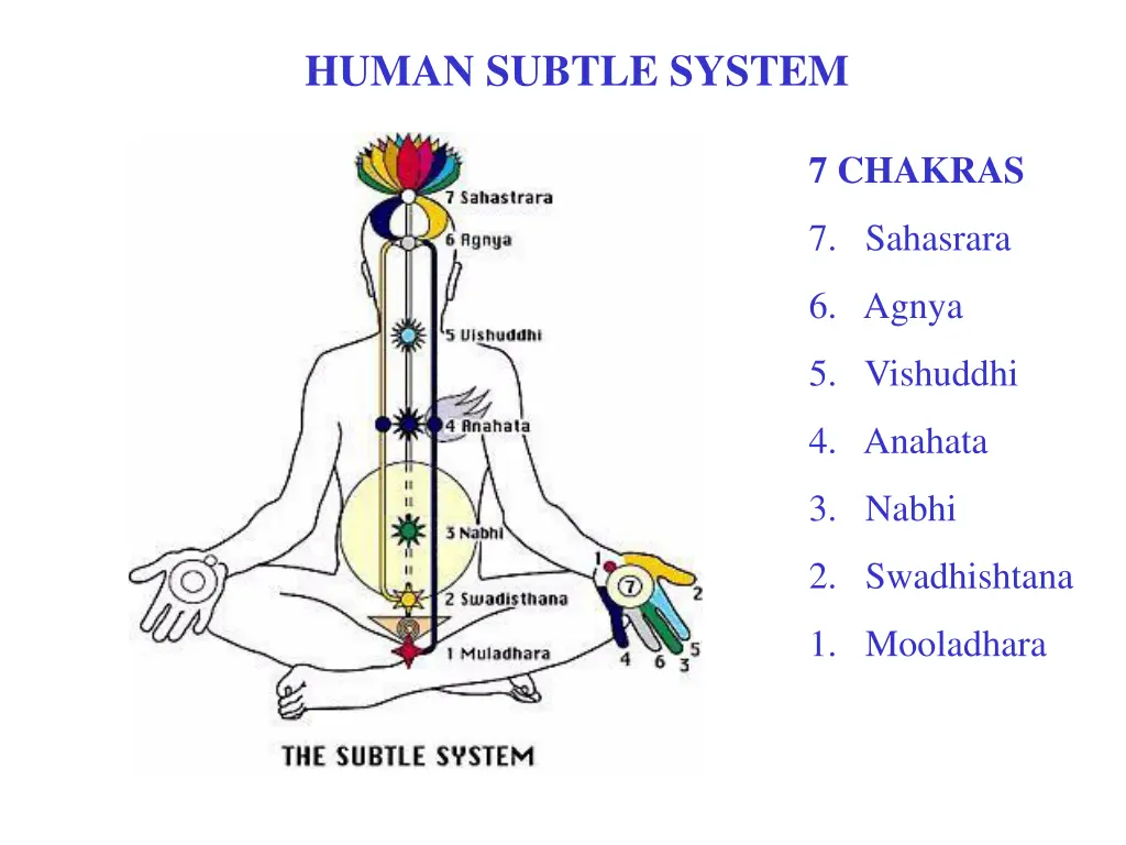 human subtle system