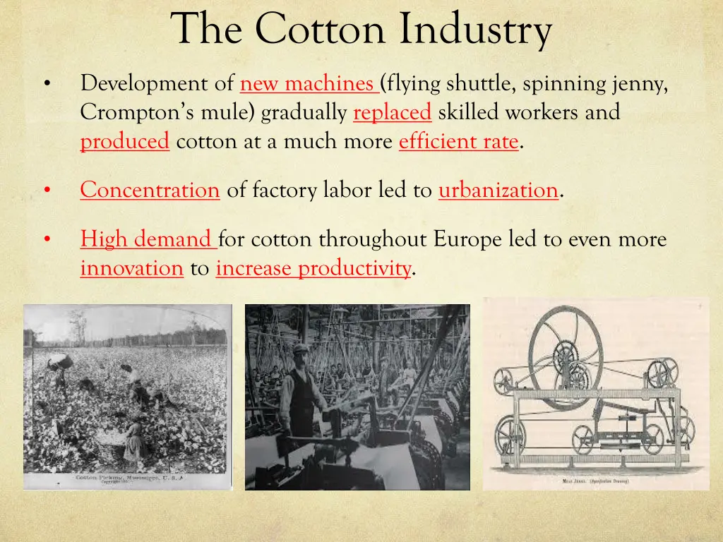 the cotton industry