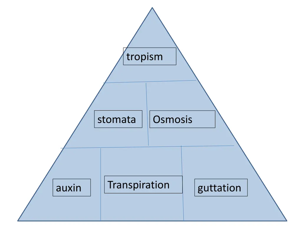 tropism