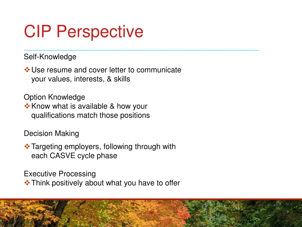 cip perspective