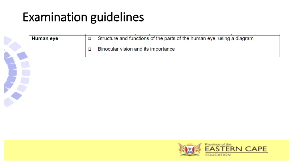 examination guidelines examination guidelines