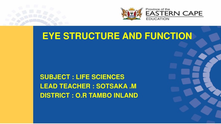 eye structure and function